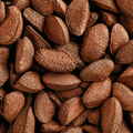 Brazil Nut Oil
